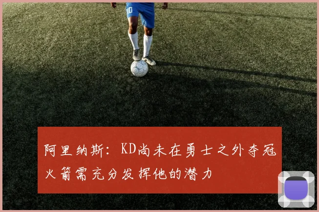 阿里纳斯：KD尚未在勇士之外夺冠火箭需充分发挥他的潜力