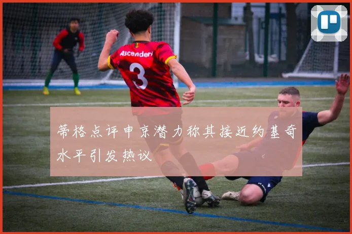 蒂格点评申京潜力称其接近约基奇水平引发热议