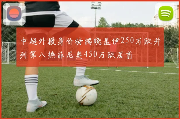 中超外援身价榜揭晓盖伊250万欧并列第八热菲尼奥450万欧居首