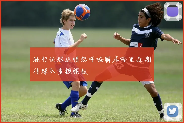 独行侠球迷愤怒呼喊解雇哈里森期待球队重振旗鼓