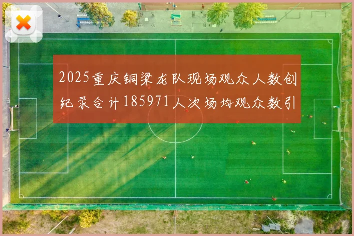 2025重庆铜梁龙队现场观众人数创纪录合计185971人次场均观众数引发热议
