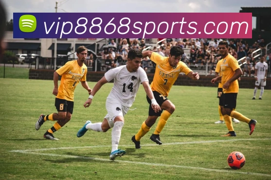 8868体育平台生态图